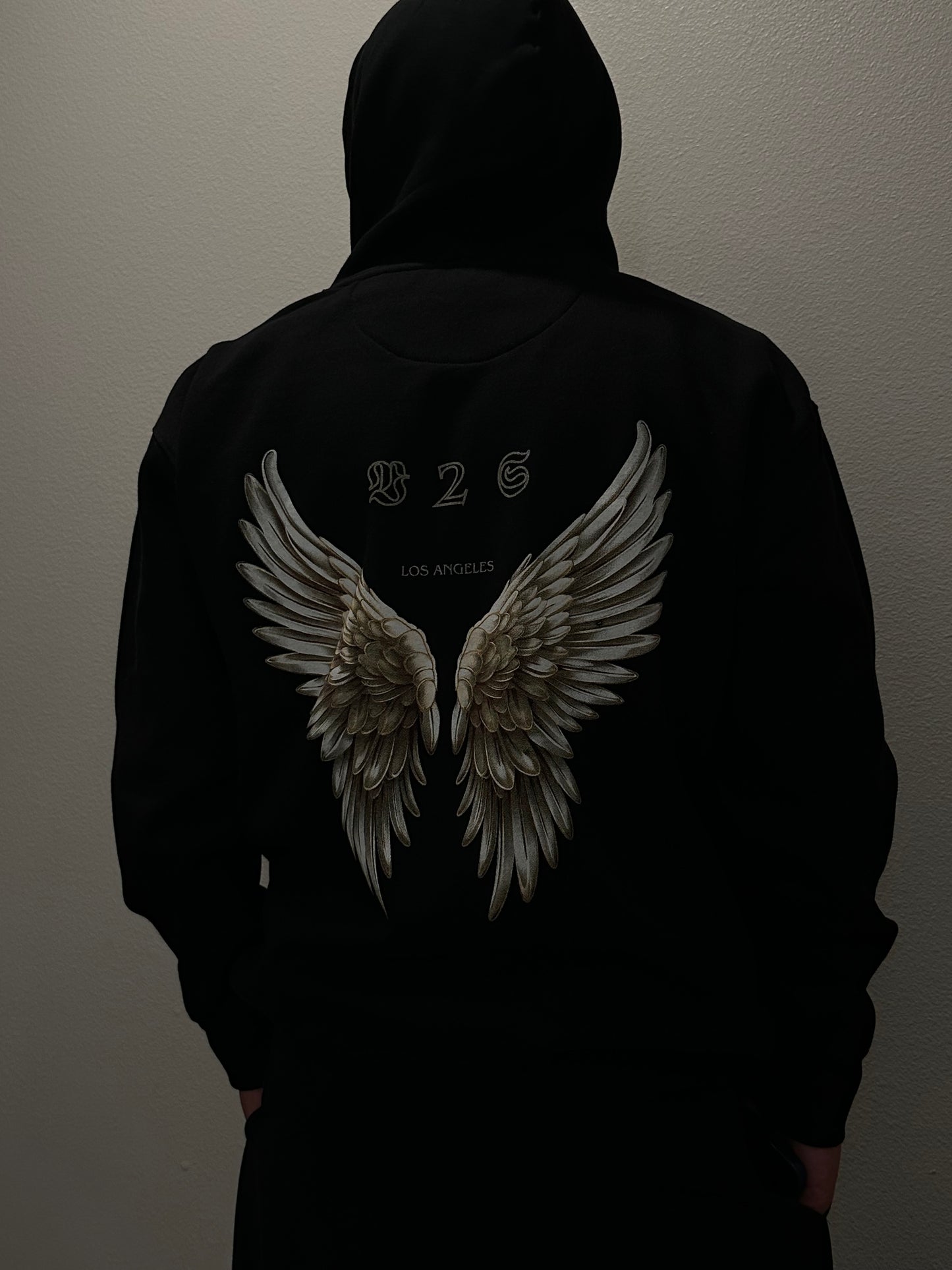 Limited Edition: V2S Hoodie